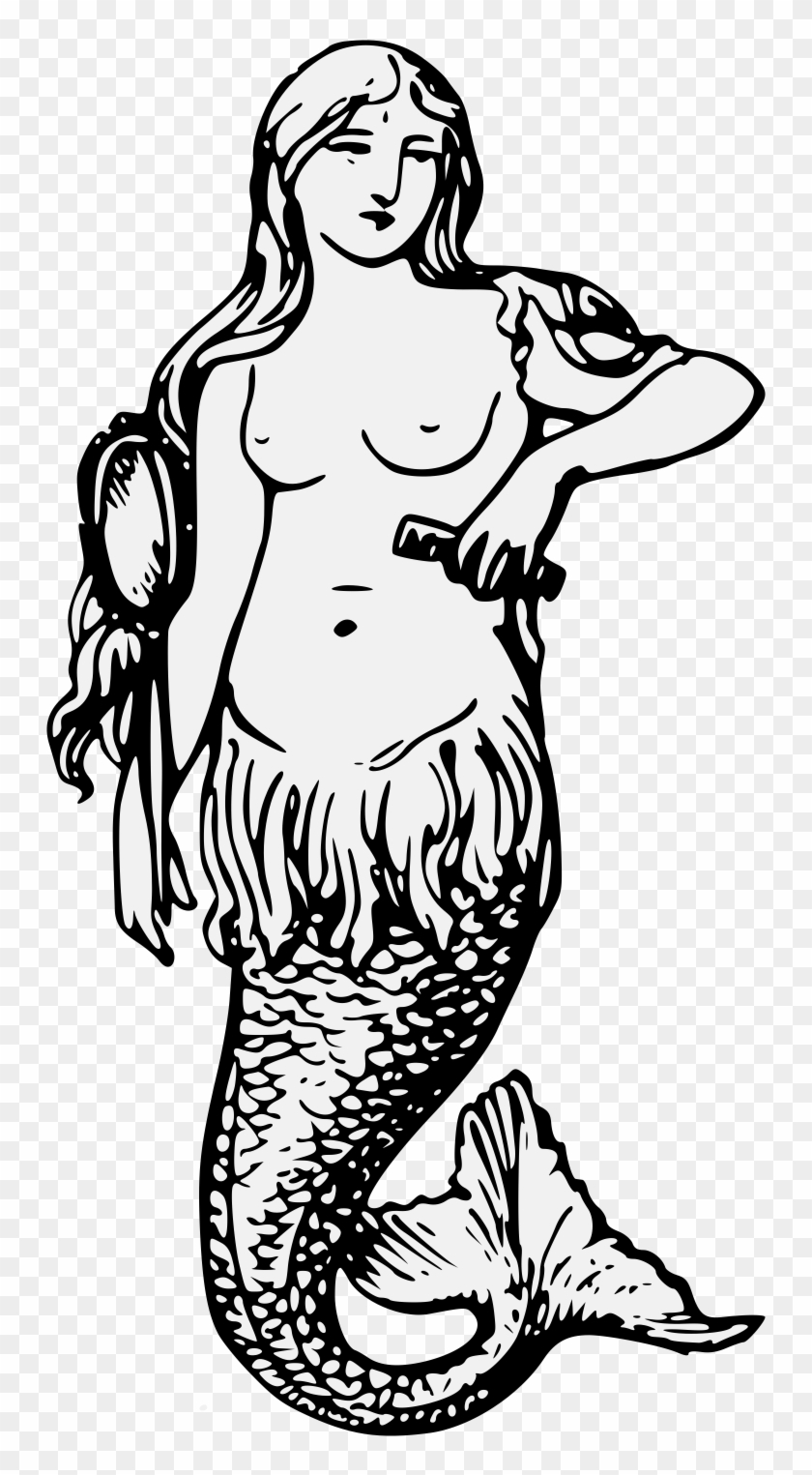Details, Png - Mermaid Clipart #563974