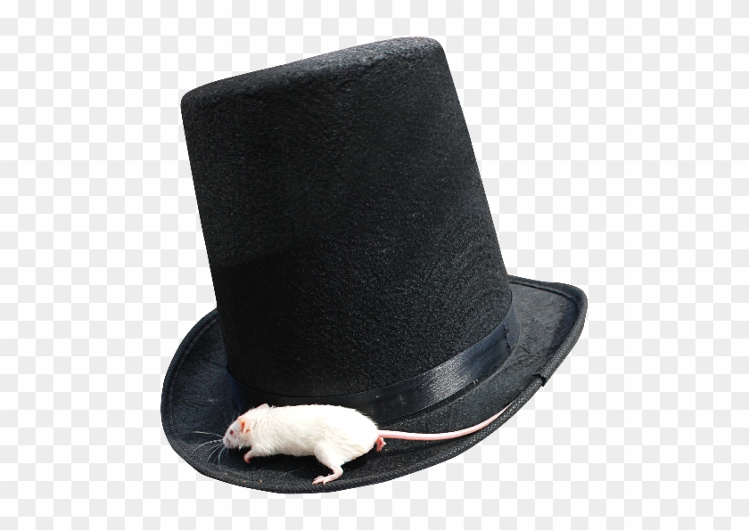 Magician Top Hat Png With White Mouse - Rat Clipart #564138