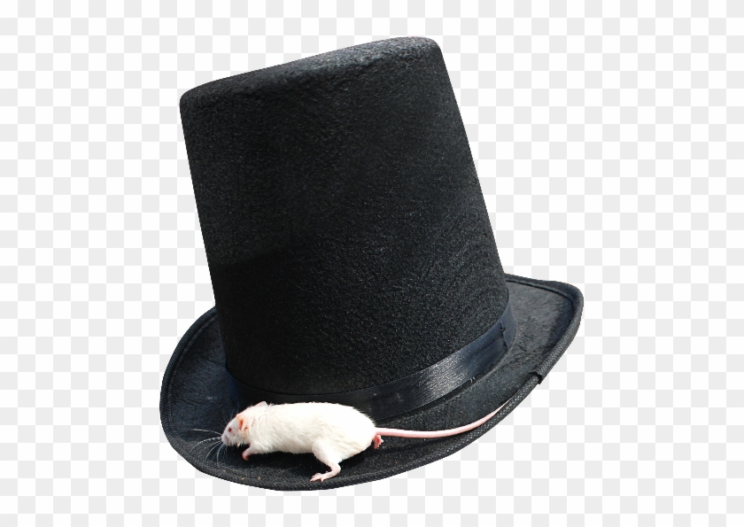 Magician Top Hat Png With White Mouse - Rat Clipart