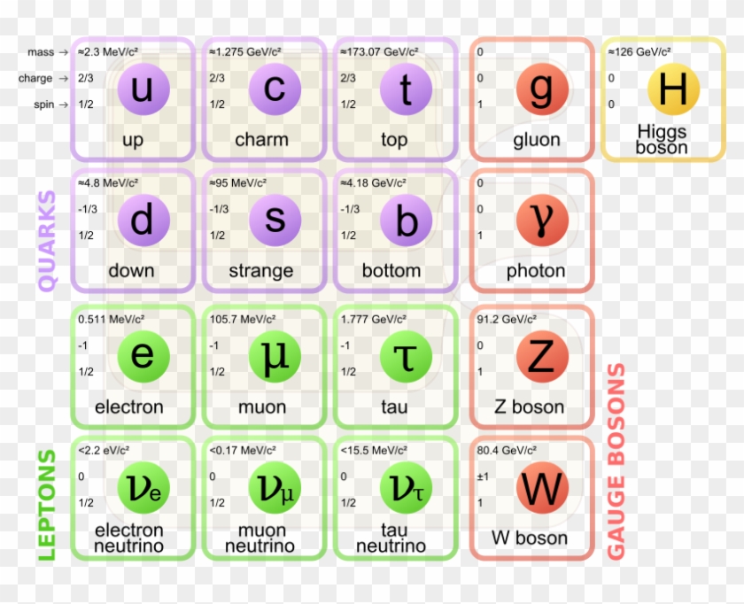 The “particle Zoo” Is A Colloquial Term That Is Sometimes - Standard Model Of Particle Physics Clipart #564219