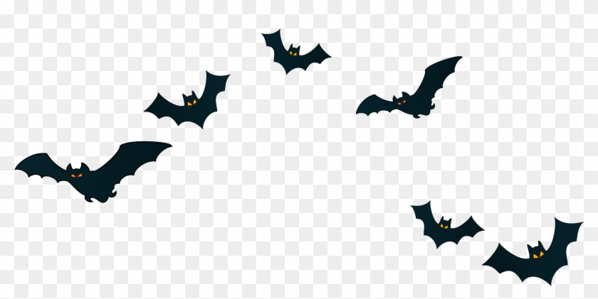 Halloween Witch Bat Png Clipart