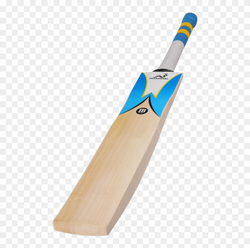 Woodworm Ib Select Grade 1 Junior Cricket Bat - Woodworm Cricket Bat Clipart