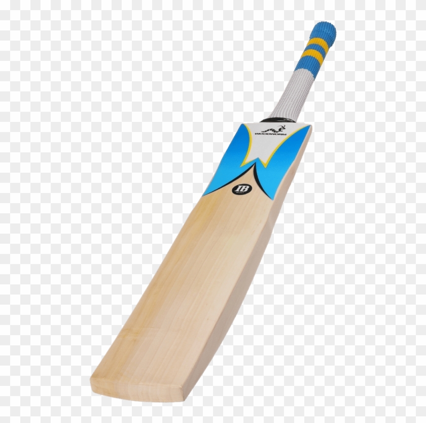 Woodworm Ib Select Grade 1 Junior Cricket Bat - Woodworm Cricket Bat Clipart #565450