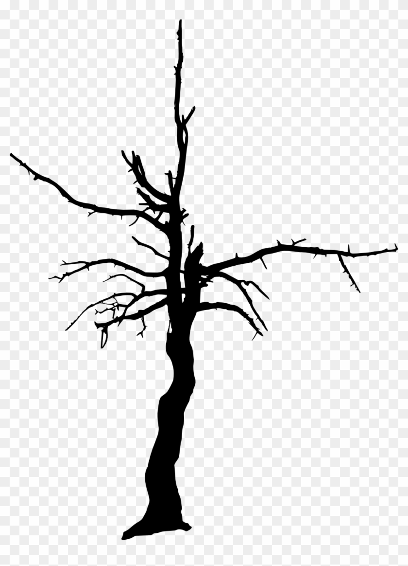 Free Download - Silhouette Black Tree Png Clipart #565526