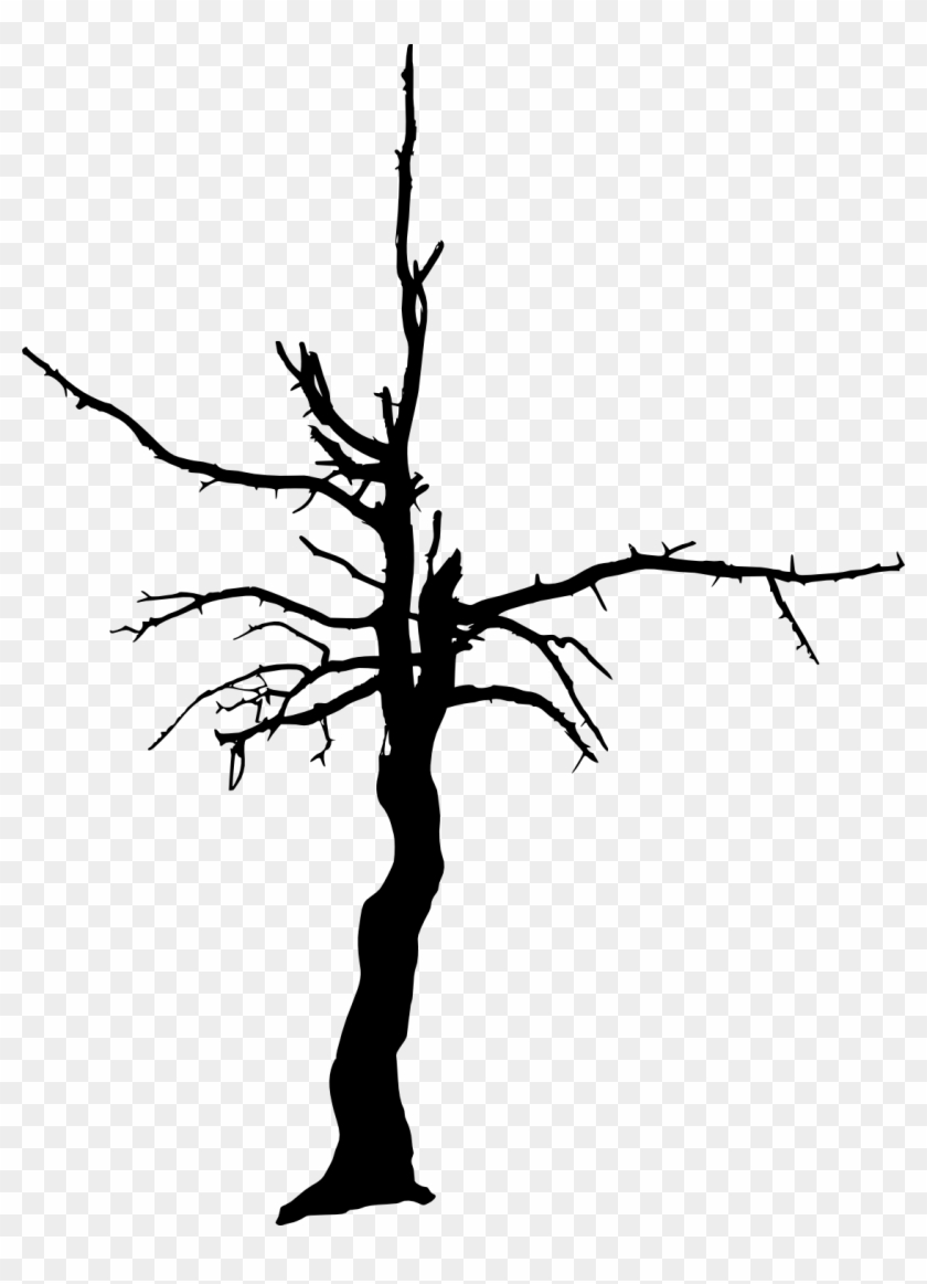 Free Download - Silhouette Black Tree Png Clipart