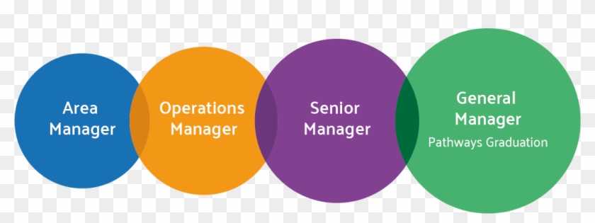 Your Fast Track To Senior Management - Circle Clipart