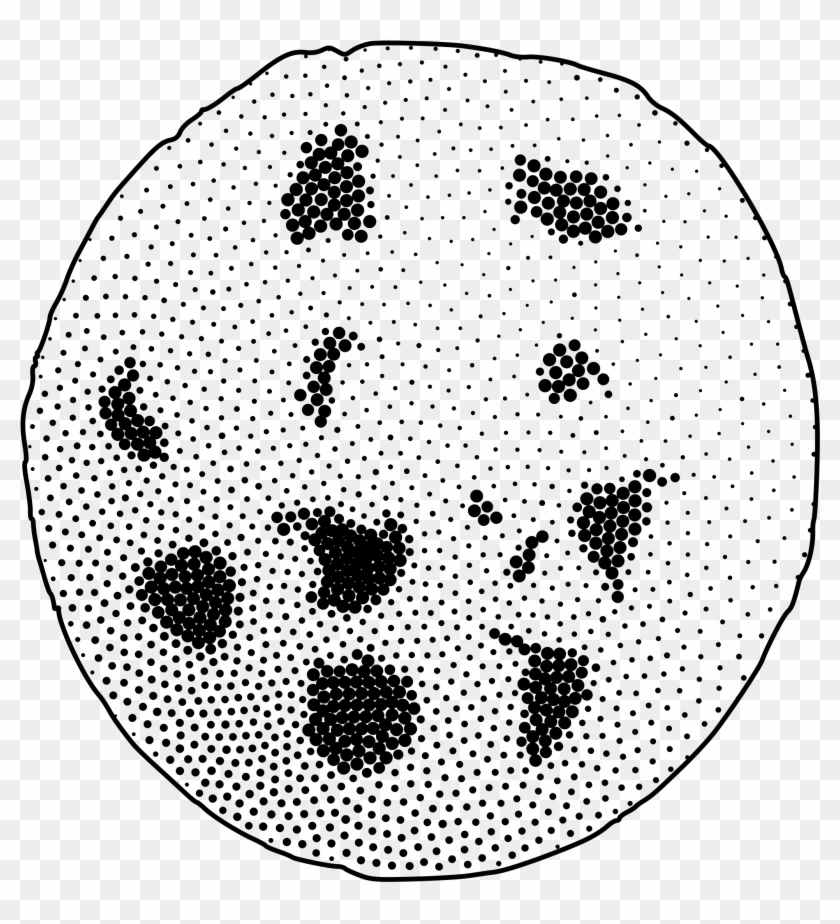 This Free Icons Png Design Of Chocolate Chip Cookie Clipart