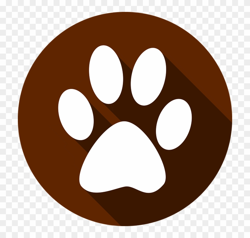 Shih Tzu Facts - Feet Cat Icon Clipart