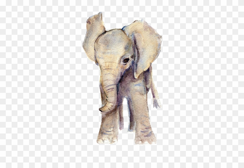 Elephant Png Tumblr - Watercolour Baby Elephant Clipart