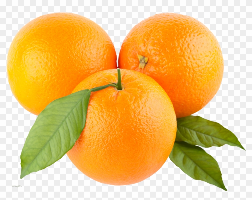 Orange Png Picture - Orange Png Clipart #569931