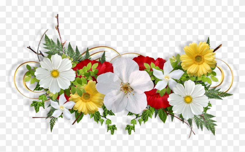 Separadores Y Flores Encontradas En La Web - African Daisy Clipart