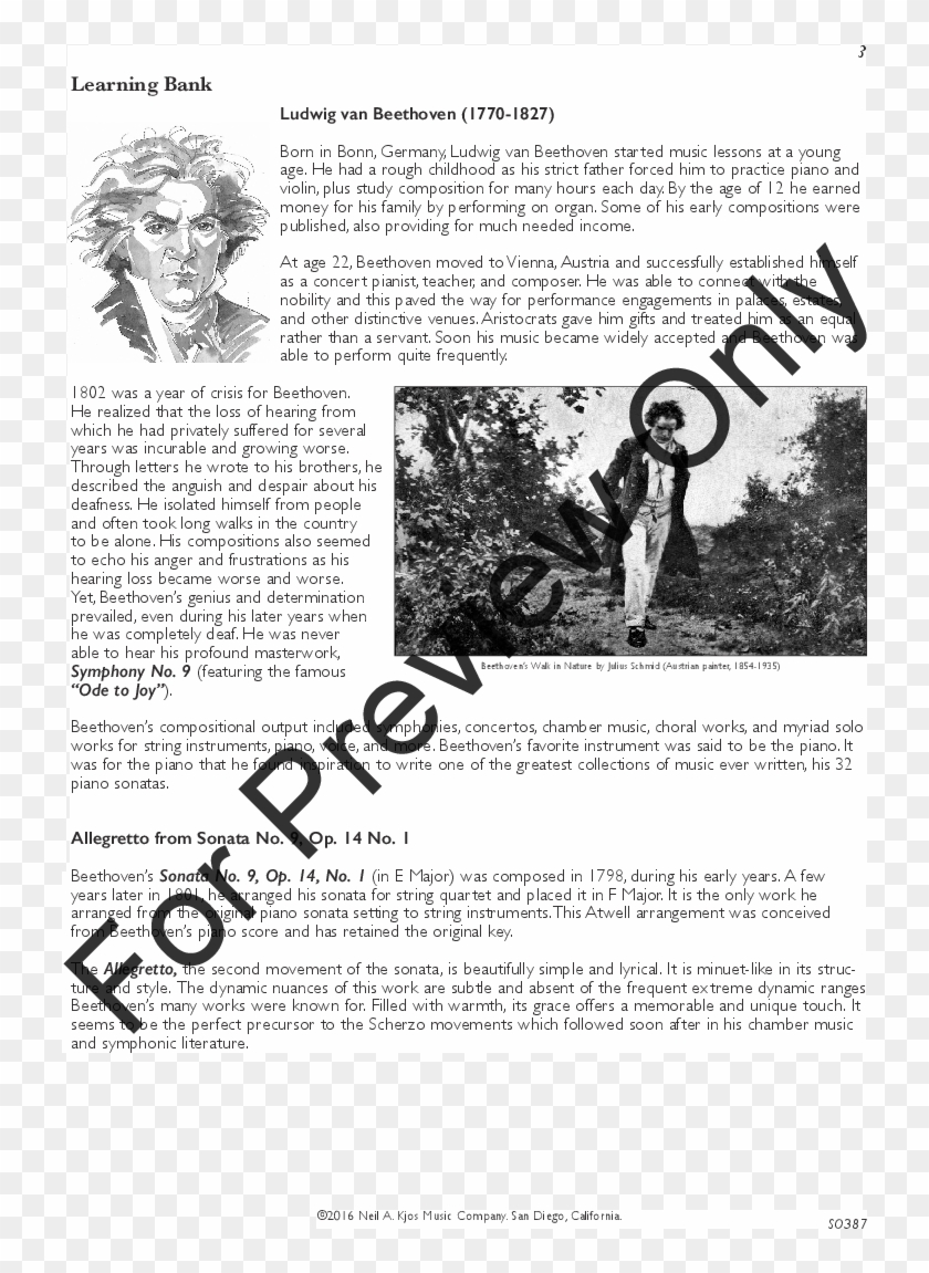 Product Thumbnail 2 - Ludwig Van Beethoven Clipart #5604627