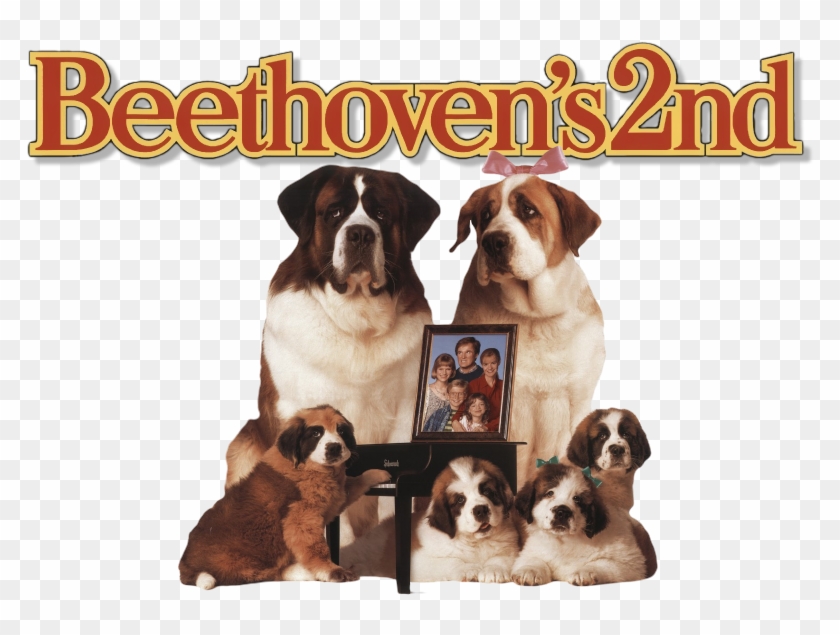 Beethoven's 2nd Image - Beethoven 2 Blu Ray Clipart