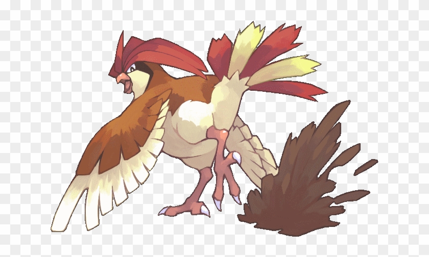 P Pidgeotto, We Are Proud Of You - ピジョン ポケモン Clipart