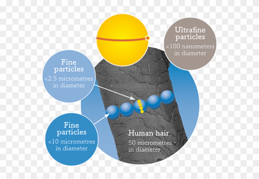 ¿qué Son Las Partículas Finas Y Ultrafinas - Envinity Group Clipart #5609822
