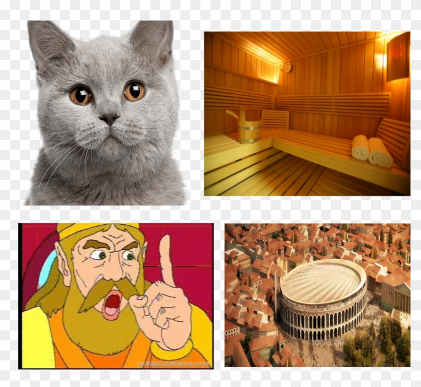 Cat Hot King Building - Cat Clipart #5610370