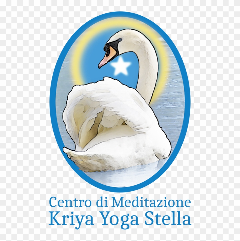 Il Nuovo Centro - Swan Clipart