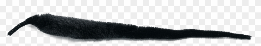 Puma Clipart #5612602