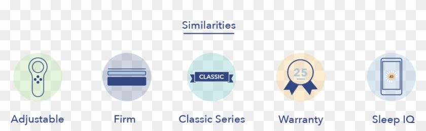 Sleep Number C2 C4 Similarities - Circle Clipart #5615597