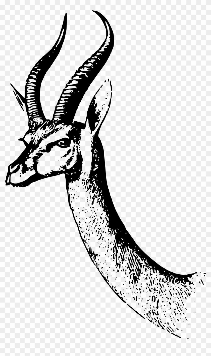Clipart Waller S - Gazelle - Png Download