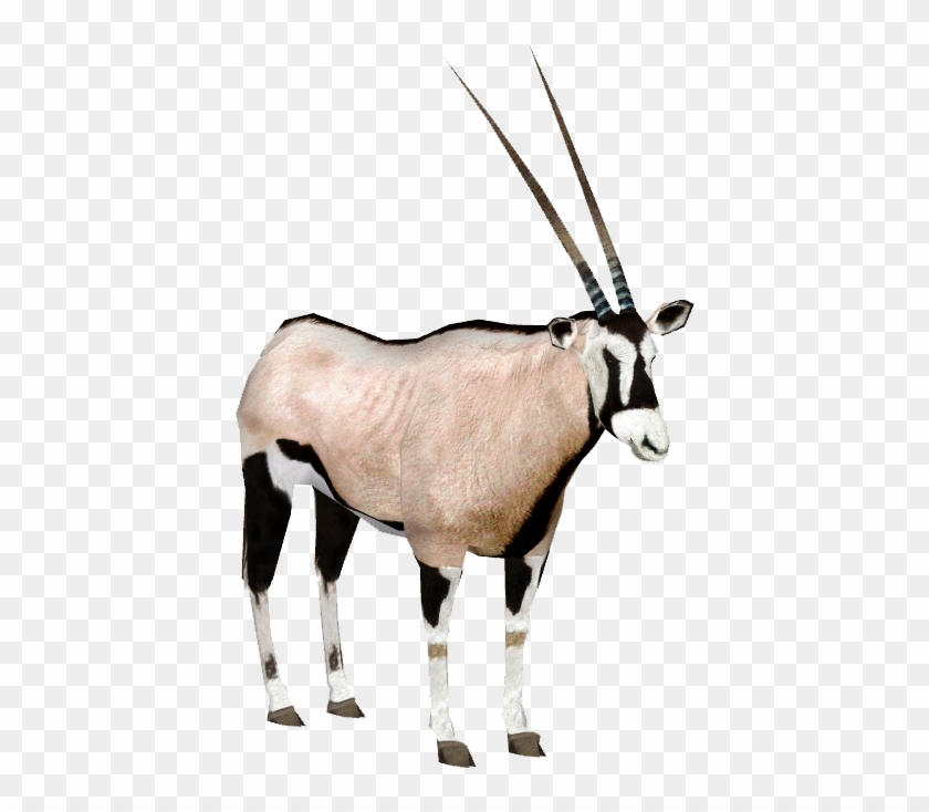 Image Slice Png Zt Transparent Background - Gemsbok Clipart