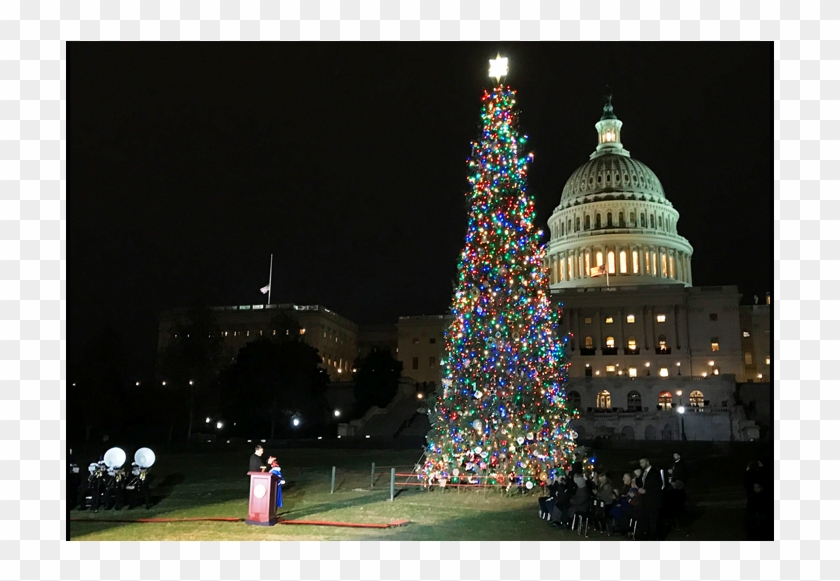 Duncanputman - Com Blog - U - S - Capitol Christmas - Capitol Christmas Tree 2018 Clipart #5618776