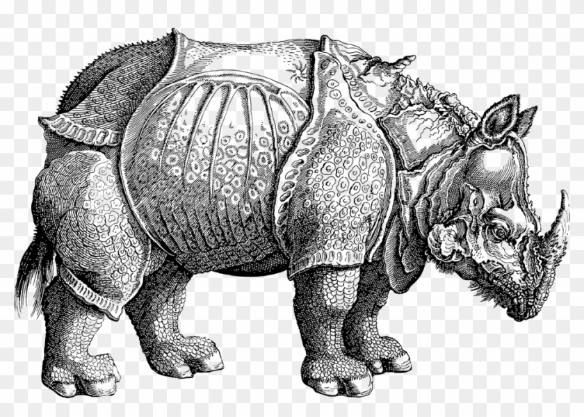 Rhino Rhinoceros Vintage Line Art Animal Africa - Rhinoceros No 76 From Historia Animalium By Conrad Clipart