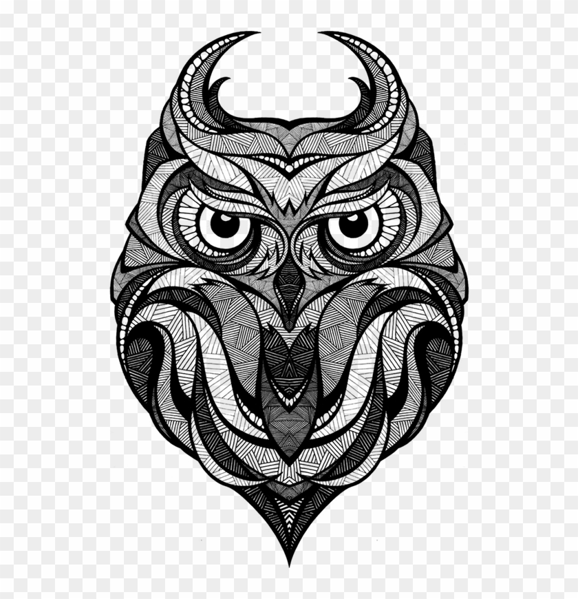 Owl Arctic Fox Drawing Art - Andreas Preis Owl Clipart