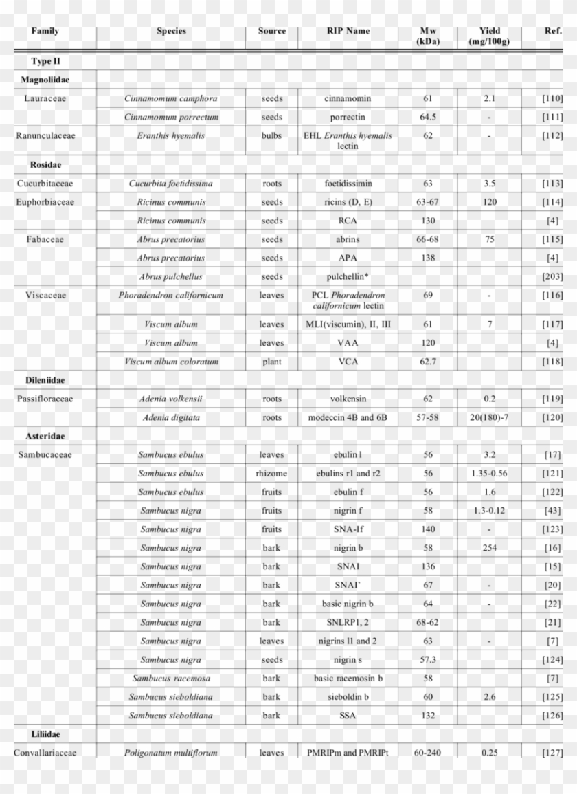Rips From Plants, Algae, Fungi And Bacteria Classification - Fungus And Bacteria Classification Clipart #5621992