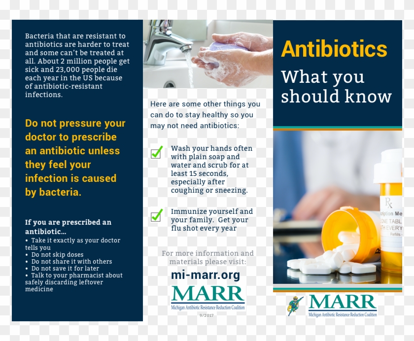 Antibiotics What You Should Know Brochure Brochure - Antibiotic Brochure Clipart #5621999