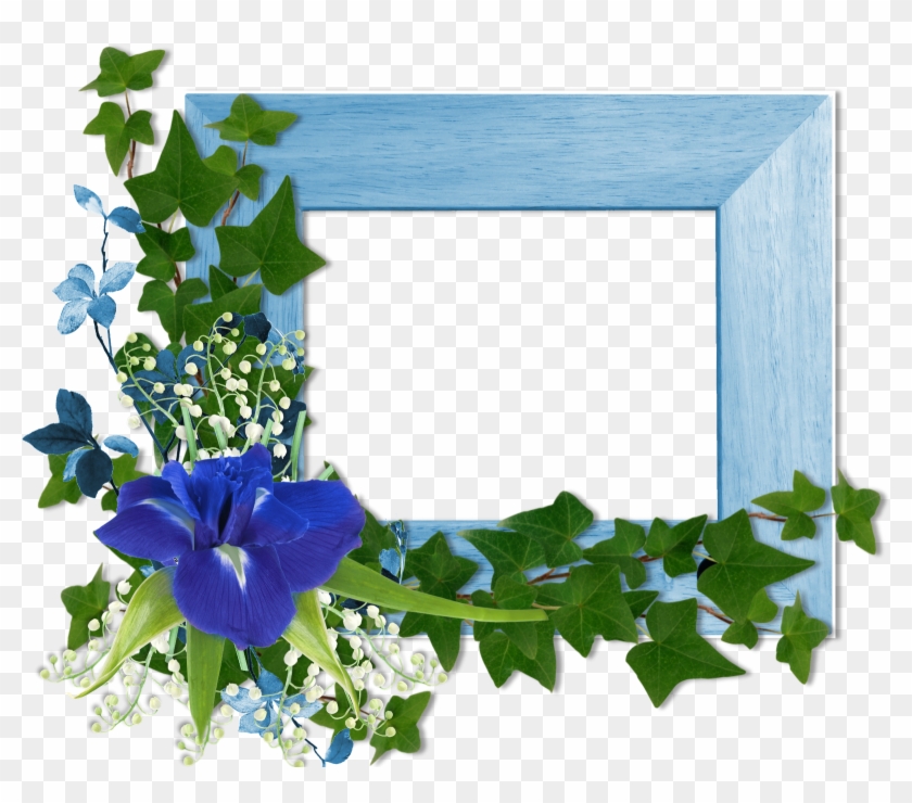 Marco De Flores Png Clipart #5622157
