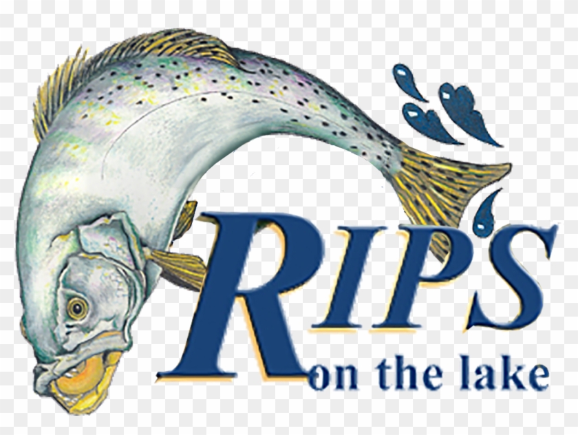 Rips On The Lake - Marine Mammal Clipart #5622381