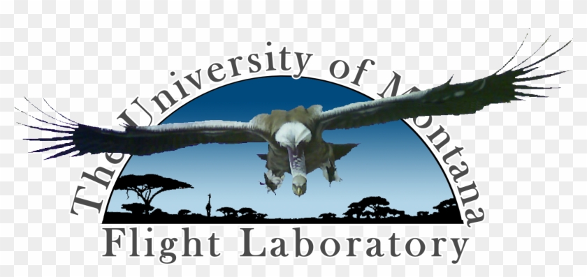 University Of Montana Flight Laboratory - Poster Clipart #5622458