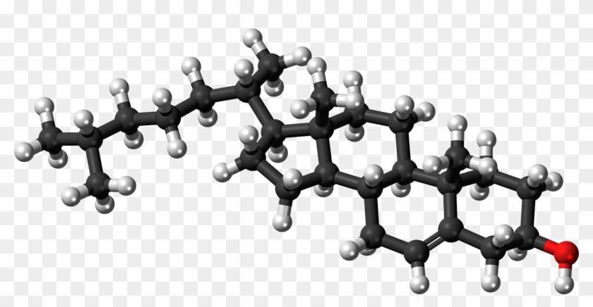 Ent-cholesterol Molecule Ball - Cholesterol Ball And Stick Model Clipart