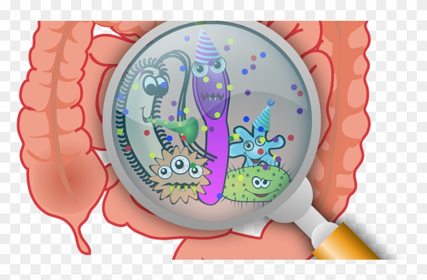 Understanding Hs - Bacterias En Tracto Gastrointestinal Clipart