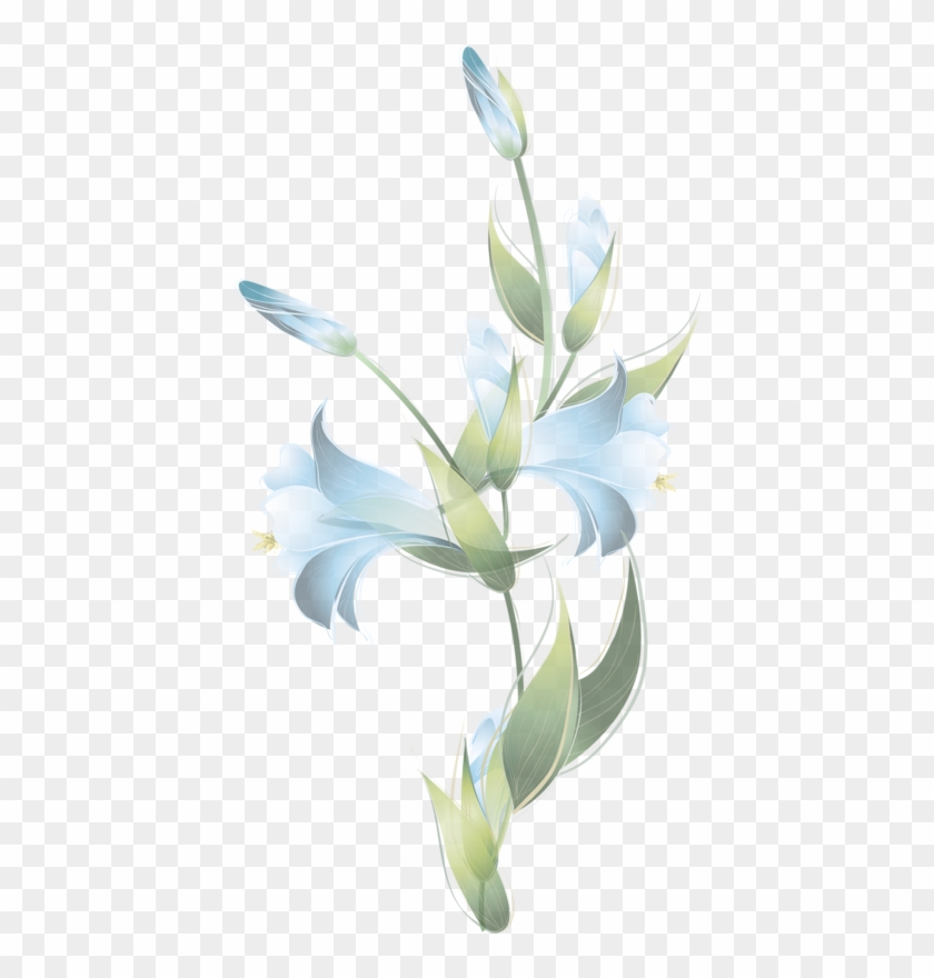 Marco De Flores Azucenas , Png Download - Hymenocallis Speciosa Clipart #5622985