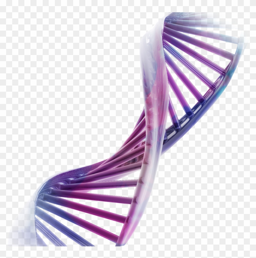 Cadena Adn Png - Purple Dna For Background Clipart