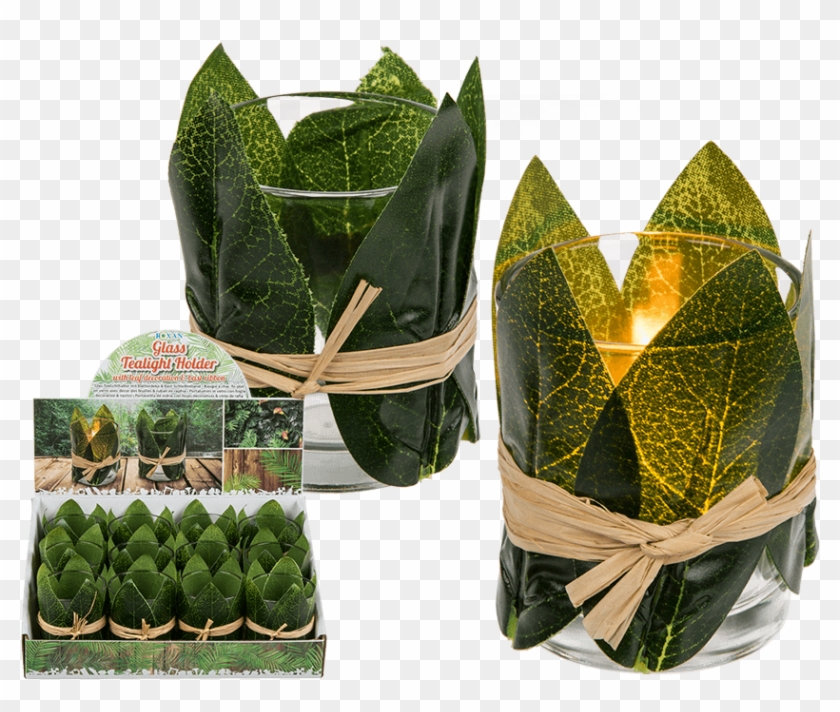 Portavelita De Vidrio Con Hojas Decorativas & Cinta - Teelichtglas Urban Jungle 12er Set Teelichthalter Clipart
