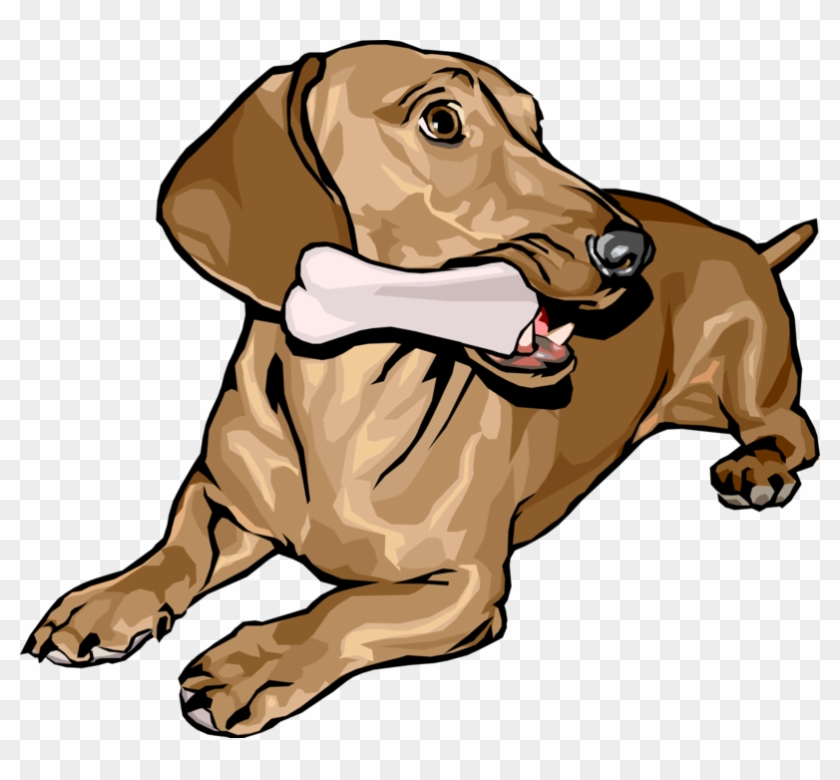 Vector Illustration Of Cute Dachshund Dog Lying Down - Dog Eating Bones Clipart - Png Download