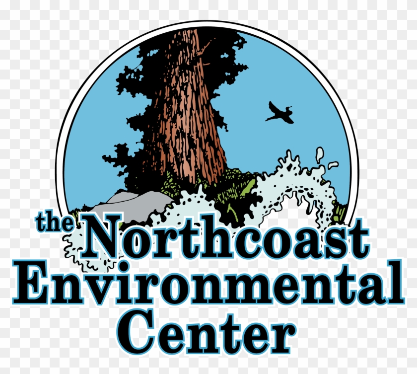 Dear Friend Of The Northcoast Environmental Center, - Northcoast Environmental Center Clipart #5630490