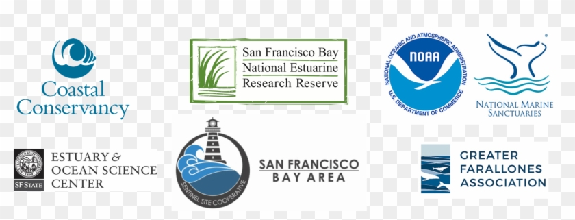 Together, These Living Shorelines Workshops Are Organized - Graphic Design Clipart #5631110