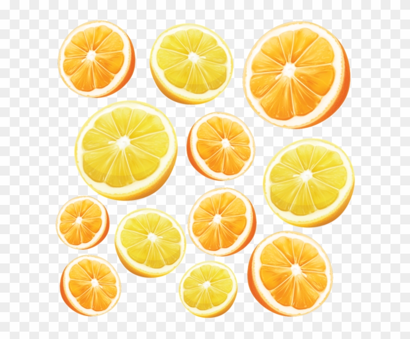 Vector Orange Realistic - Orange Clipart #5633580