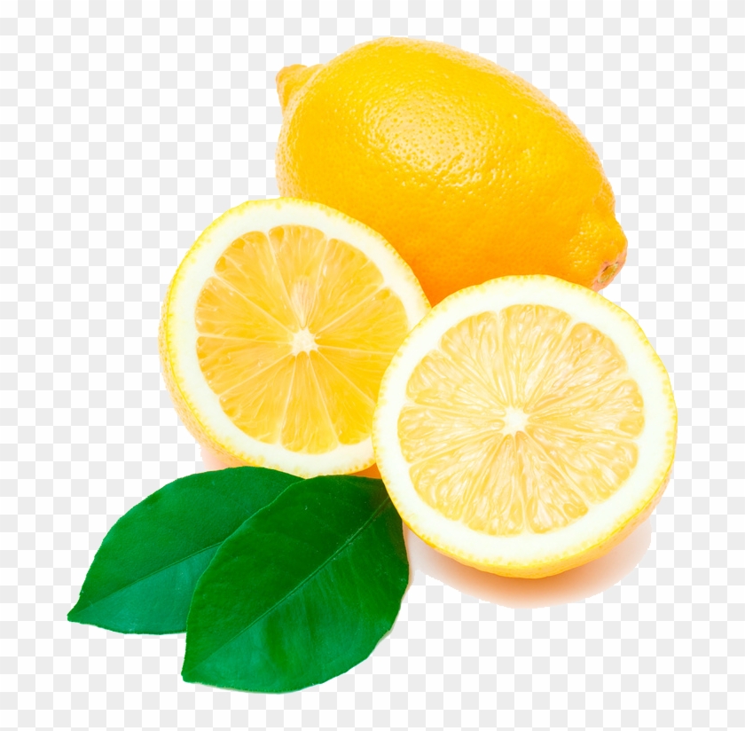 Vector Lemon Sketch - Sweet Lemon Clipart