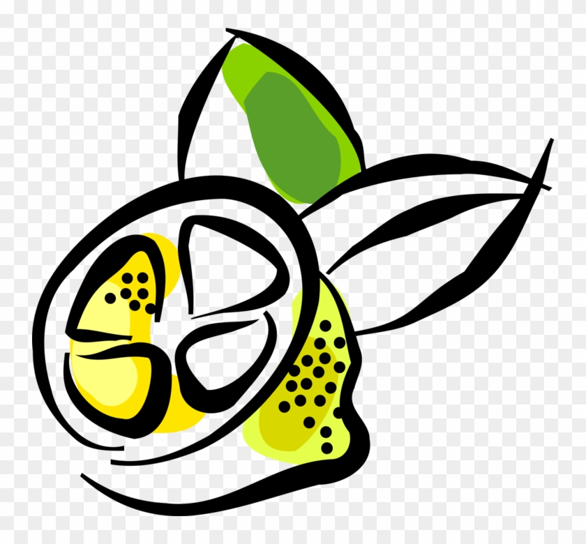 Vector Illustration Of Sliced Citrus Lemon Fruit Clipart