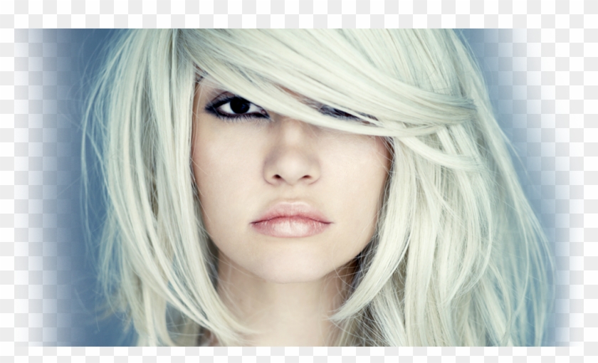 Education-img - Platinum Blonde Dyed Hair Clipart