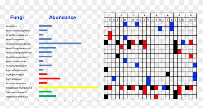 Spatial Distribution Of Cultivable Fungal Diversity - Festival Nauke Clipart