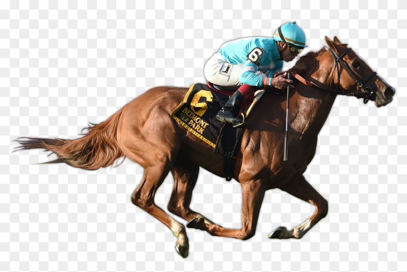 Uni Wins The G2 Sands Point Stakes - Race Horse White Background Clipart #5637568
