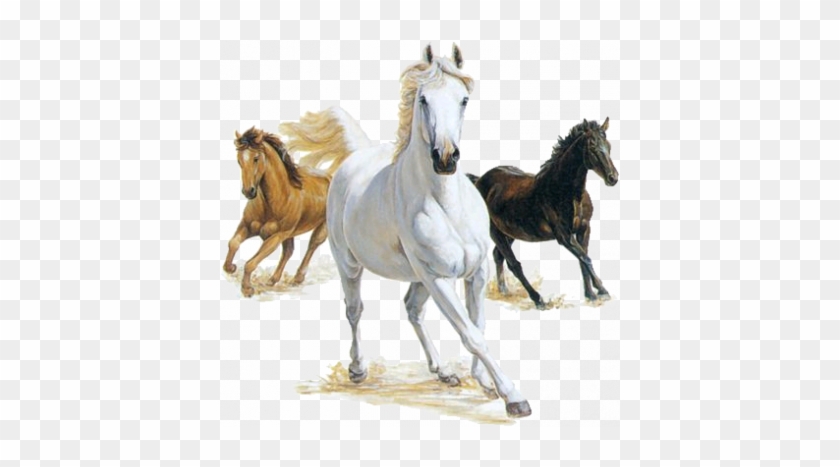 Hourse Sticker - Brown Black And White Horses Clipart