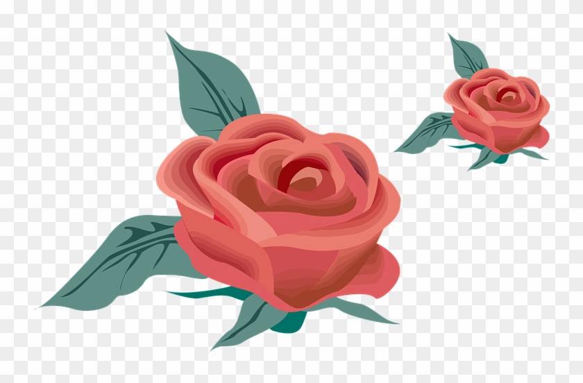 Red Rose Flower Nature Fragrance Rose Red - Cadre Pour Billets De Mariages Clipart #5639041
