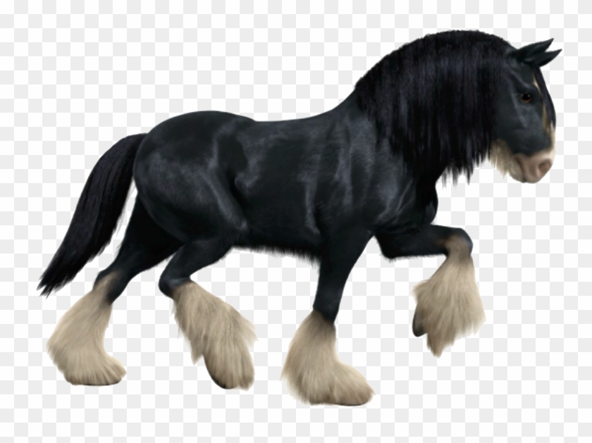 Angus Brave Png Clipart #5639344